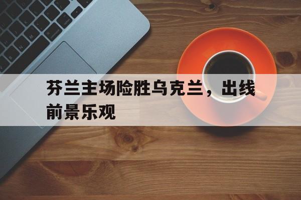 爱游戏ayx官方登录入口-芬兰主场险胜乌克兰，出线前景乐观